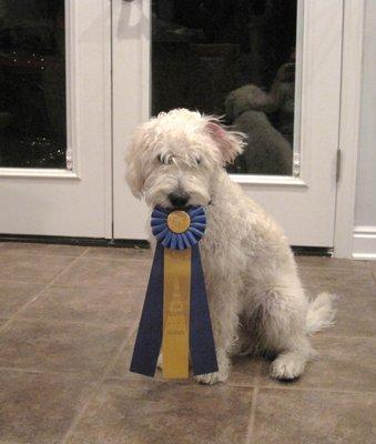 Proud Graduate Tucker