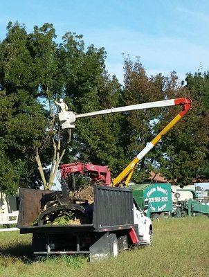 Bucket trucks for safe access Greapple trucks to do the heavy lifting