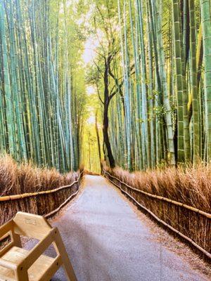 Follow the bamboo