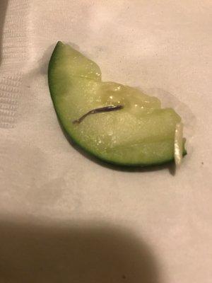 Cucumber with a small piece of purplish plastic. Yes, we checked and it is not a piece of food...