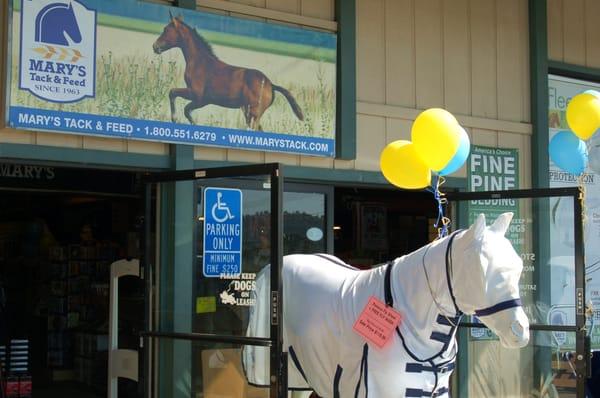 Mary's Tack & Feed