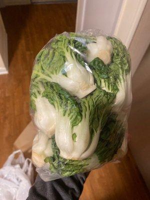 Aren't these just the cutest little bok choy you ever did see?