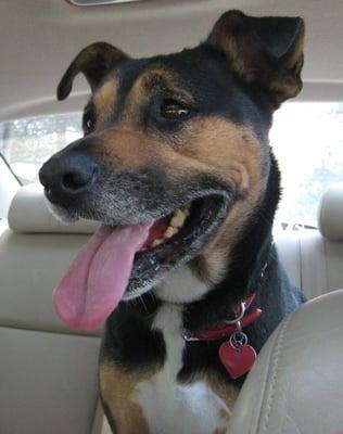 Miss Maxine, one of Dr. Ruffing's patients, until she died in 2012 from cancer.