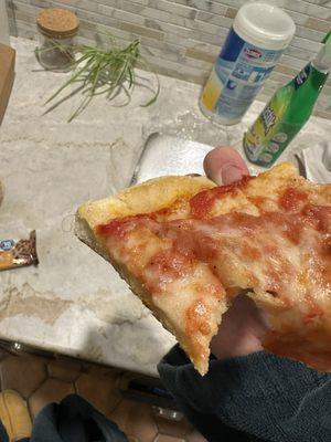 Plain Pizza Slice