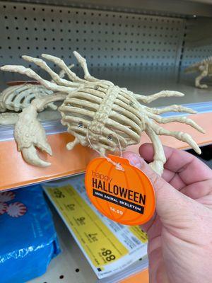 Crab exoskeleton????