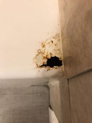 Hole in the bathtub.