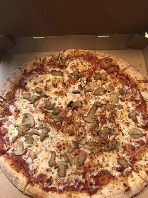 Cheese pizza with mushrooms