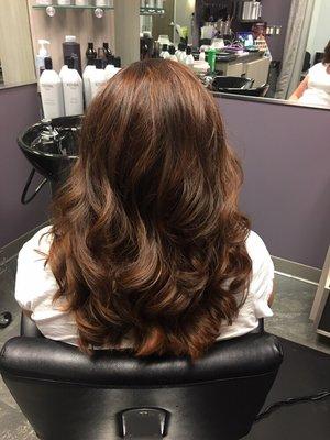 Color, cut and style