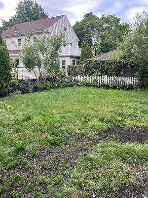 BEFORE back yard where patio got installed.