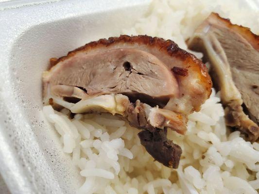 Duck & BBQ Pork over rice.