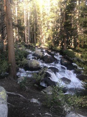 Creek view behind cabin 9