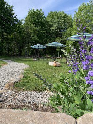 Backyard at Crooked Tongue