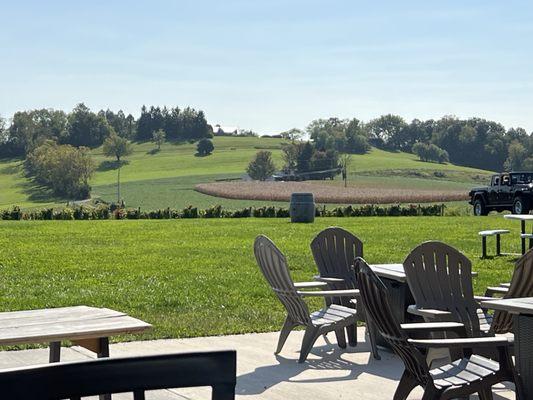 A beautiful serene landscape looking out over the vineyard from the patio.