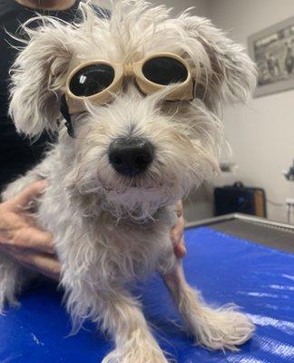 Laser therapy time!