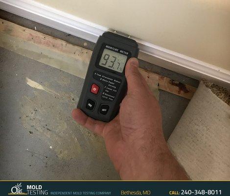 Mold inspection Bethesda MD