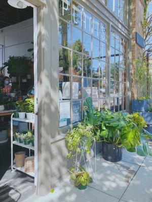 Plant shop