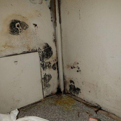 Do not ignore moisture or signs of mold it most likely indicates a leak of some kind