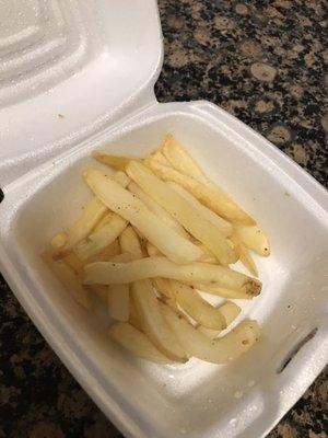 Classic Fries from Grilled Cheese Society That was Delivered