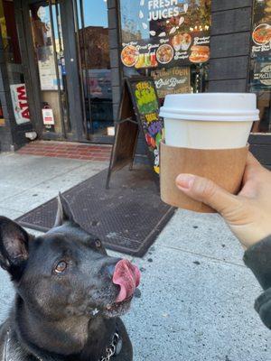 Brooklyn Standard Deli - Grand St.