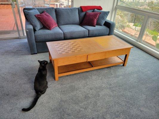 Family room with newly laid Mohawk Splendid Character pet-friendly carpet.