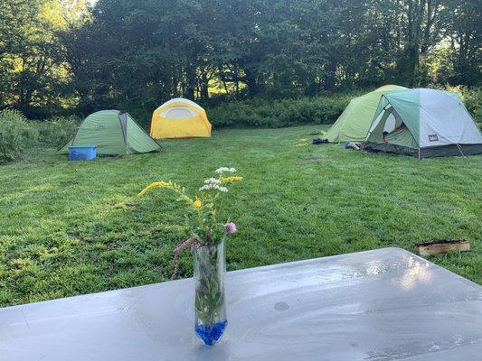 Campsite #7