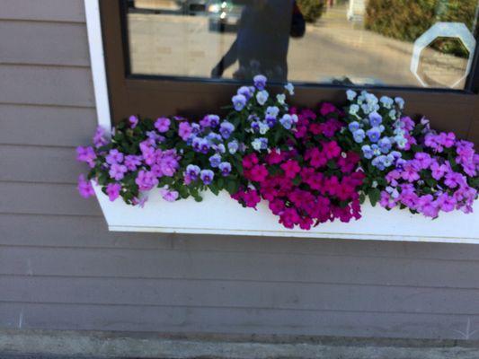 Window flower box