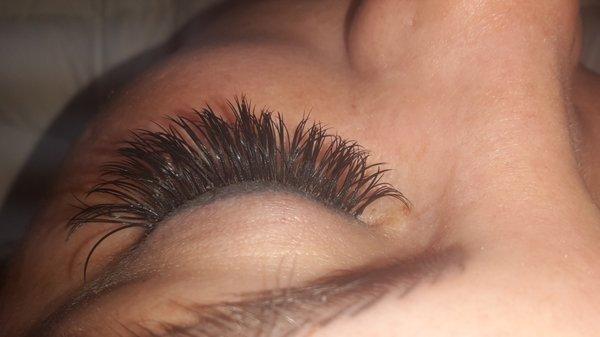 Volume Lashes