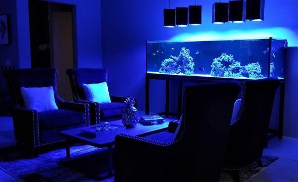 Custom 250 gallon reef - We design, install, and maintain saltwater aquariums. We also aquaculture beautiful corals! Give us a call today