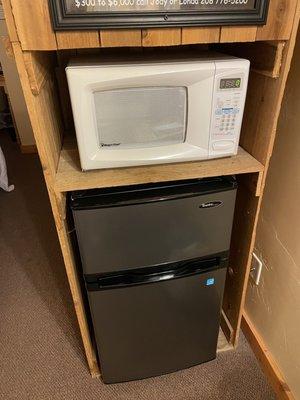 Pretty big mini fridge and microwave in room