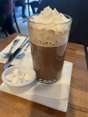 Hot chocolate with whipped cream AND marshmallows? What a fun surprise!