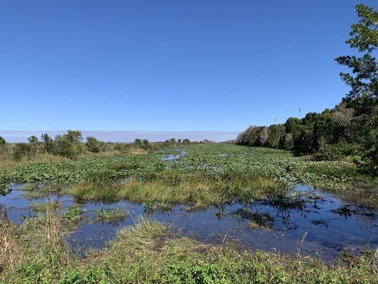 Edge of the Everglades, right next to the park.