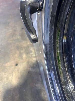 obvious mold growing inside this washer #44 and surrounding washers