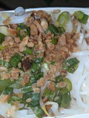 Noodles , a bit of fried shallots perhaps, and green onion. The container was packed! I like that