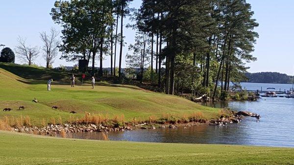 Timberlake Country Club, the only golf course on Lake Murray!