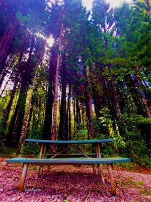 Picnic table