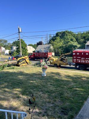 Boley's Tree & Shrub Removal