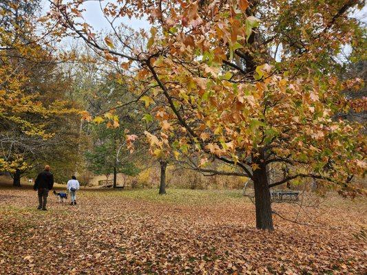 John A. Finch Arboretum