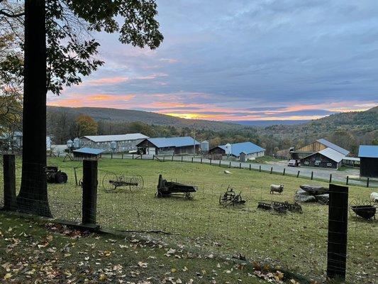 Roadside view of the farm