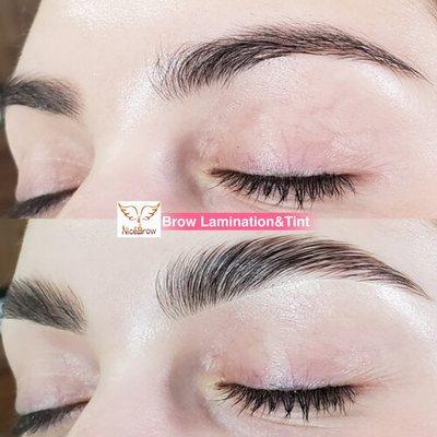 Brow Lamination&Tint (Free Brow Shaping) $99