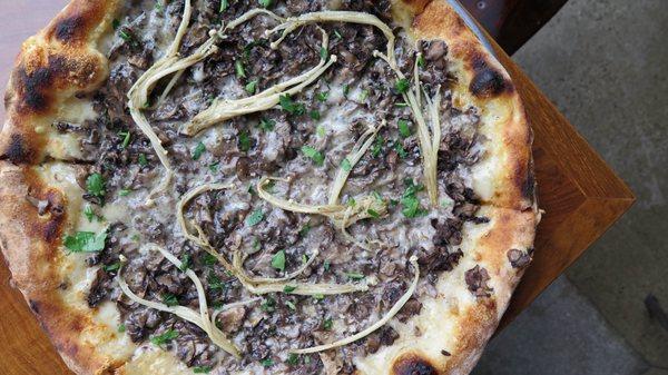 Field Mushroom Pizza with cremini mushrooms, enoki mushrooms, fontina and thyme.