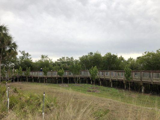 Boardwalk behind Nathaniel P. Reed Visitor Center