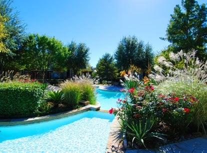 Resort Style Swimming Pool