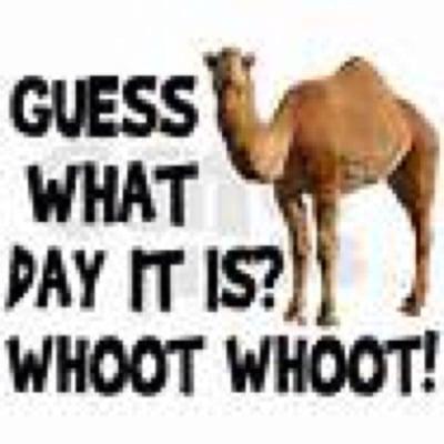 Guess what day it is ....