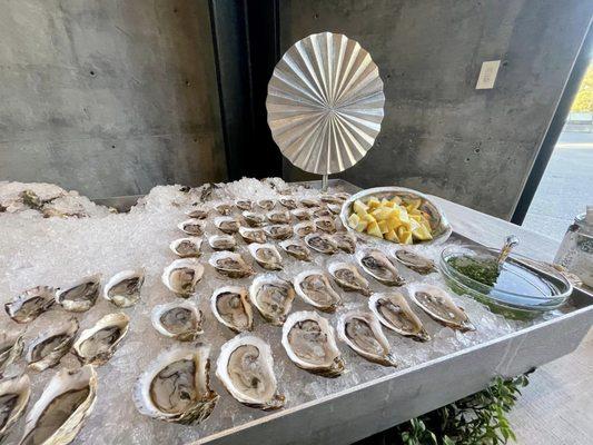 Silver Tray Display - THE OYSTER GIRLS