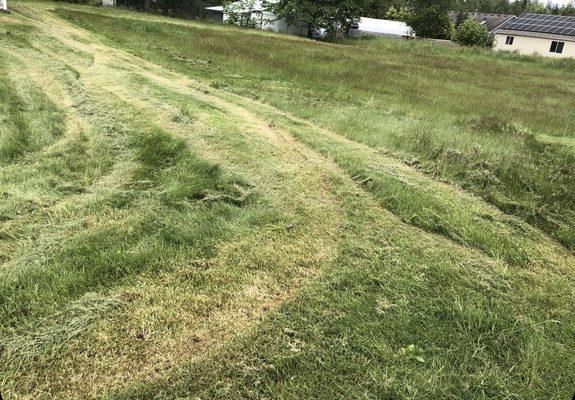 Our lawn ruined after trying to mow with our freshly maintained and repaired mower.