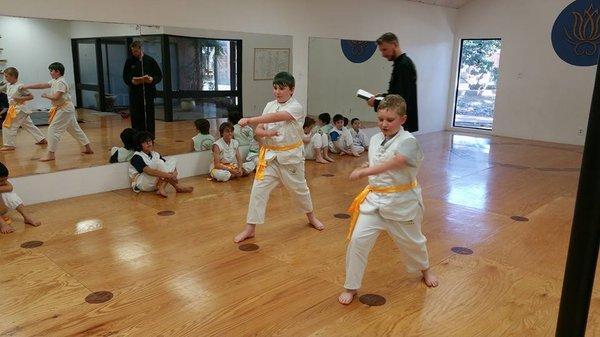 Two yellow sashes testing for their next sash color!