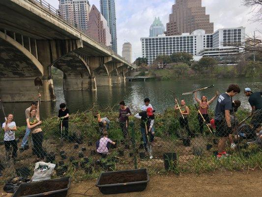 Austin Bat Refuge collaborates with the Trail Foundation to maintain the Bat Viewing Area