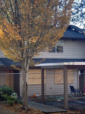 These abandoned townhomes attracted lots of crime too.