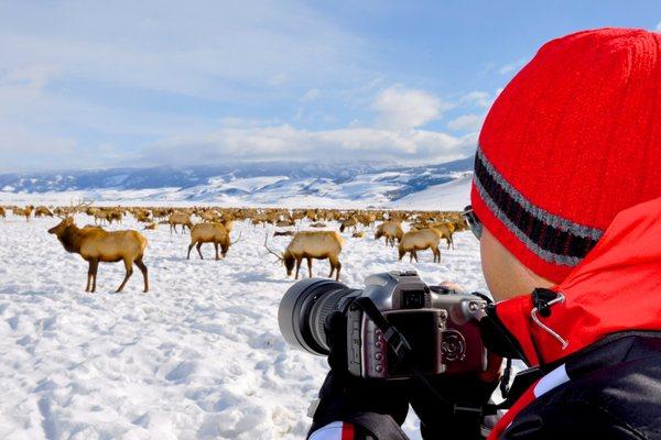 Photography tours in Winter