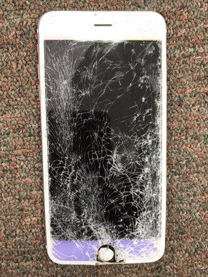 Screen repair specials!